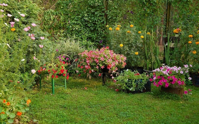 Entretien de jardin à Barbentane, Barbentane, DAMIEN Services